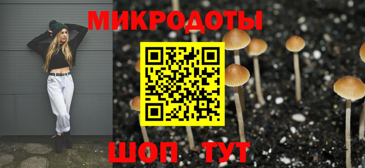 Галлюциногенные грибы мицелий  купить наркотик  Новокузнецк  Вход с VPN  Галлюциногенные грибы ЛСД 